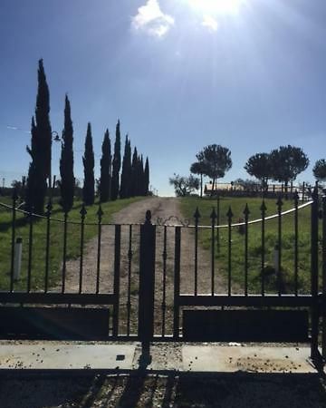 Agriturismo Casale San Benedetto Ceri Eksteriør bilde