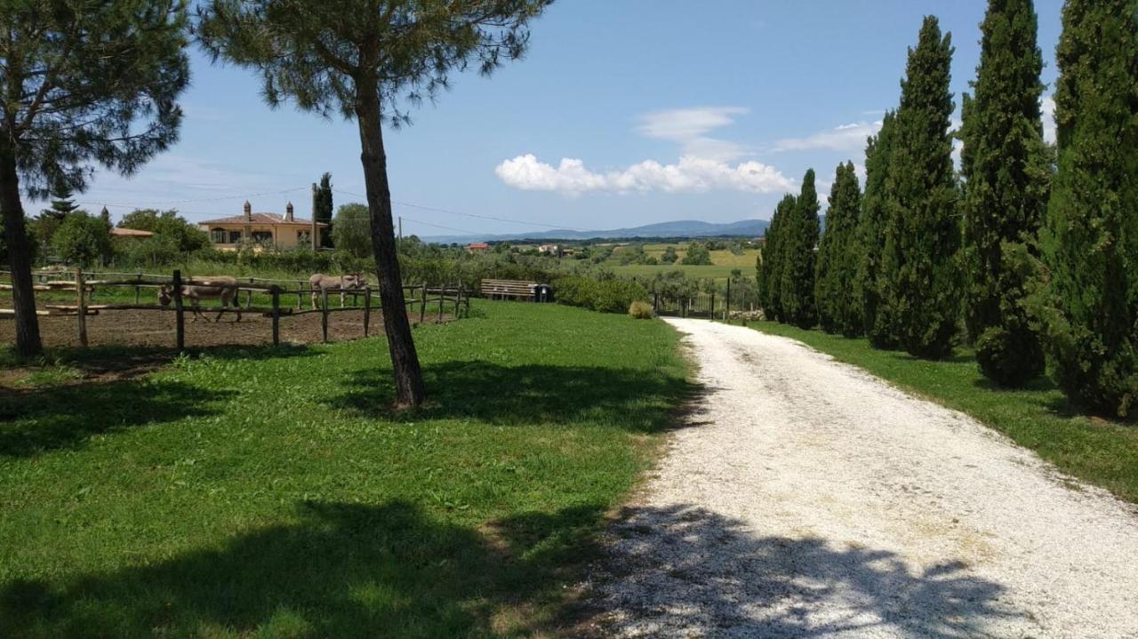Agriturismo Casale San Benedetto Ceri Eksteriør bilde