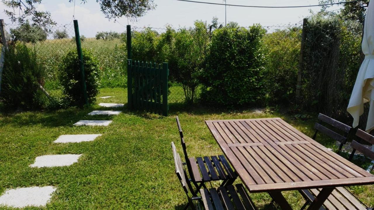 Agriturismo Casale San Benedetto Ceri Eksteriør bilde