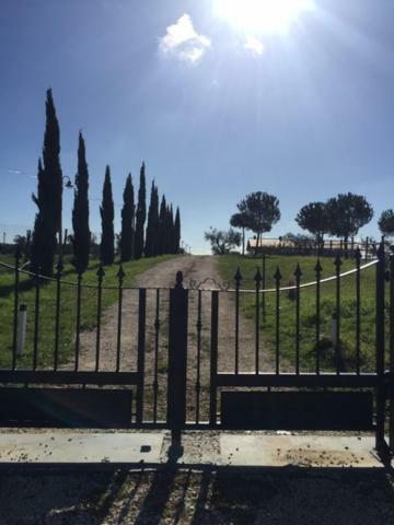 Agriturismo Casale San Benedetto Ceri Eksteriør bilde